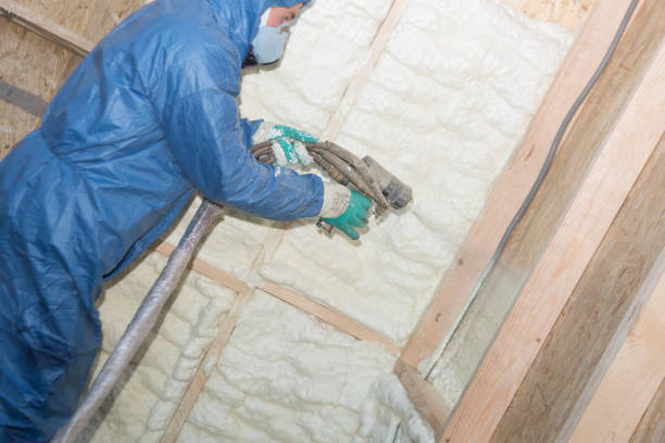 Types of Insulation We Offer in Virginia, IL